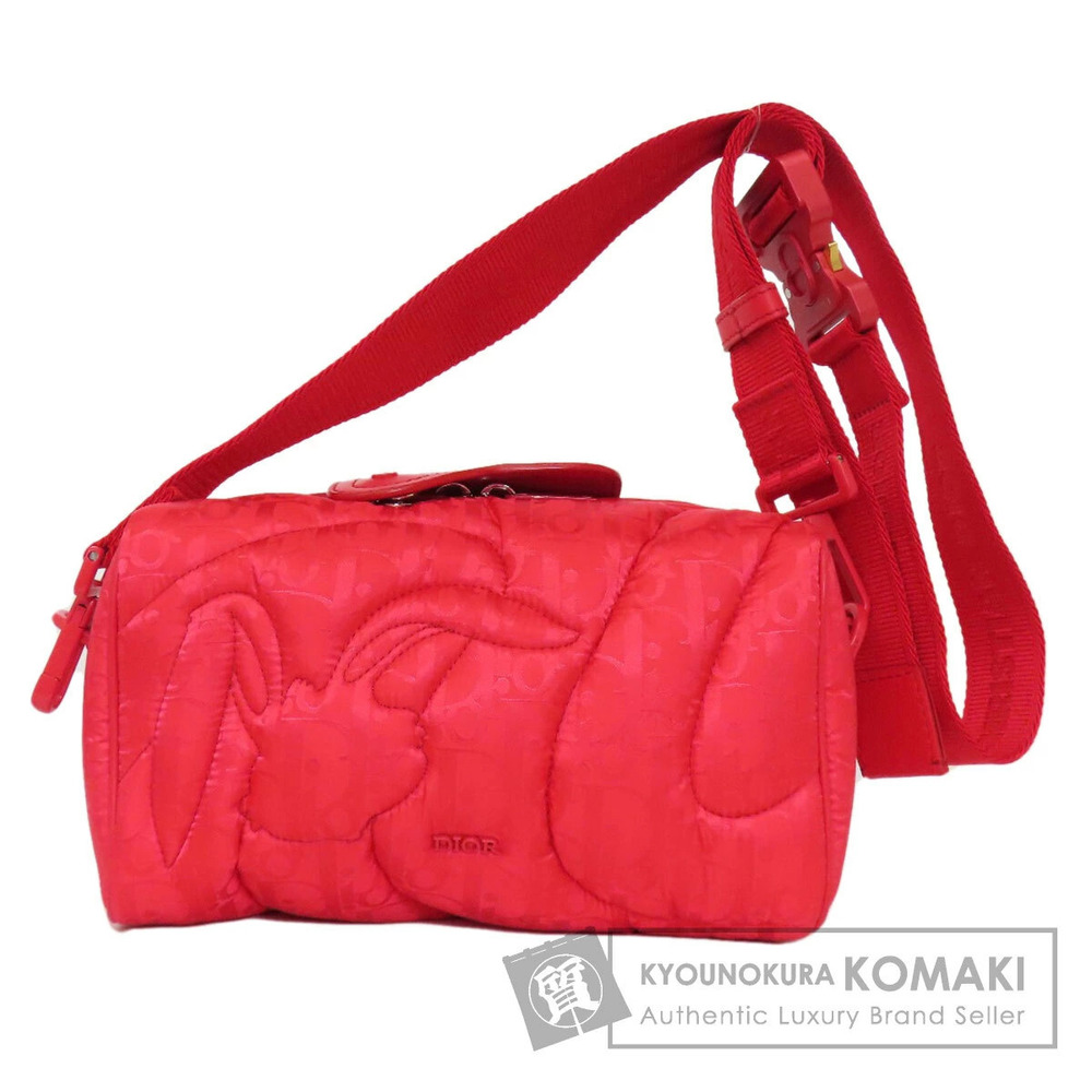 Christian Dior ERL collaboration Trotter shoulder bag